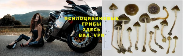 тгк Володарск