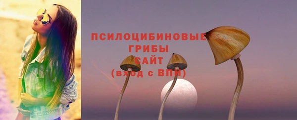 тгк Володарск