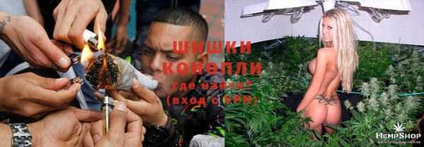 тгк Володарск