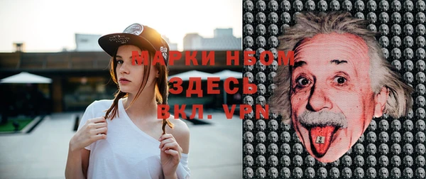 тгк Володарск