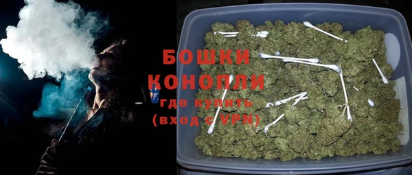 сатива Волосово